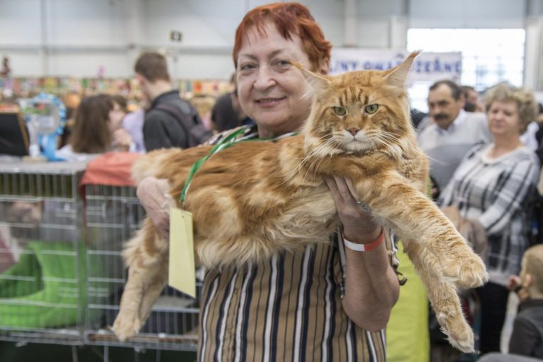 Zoopark 2017 na zdjęciach
