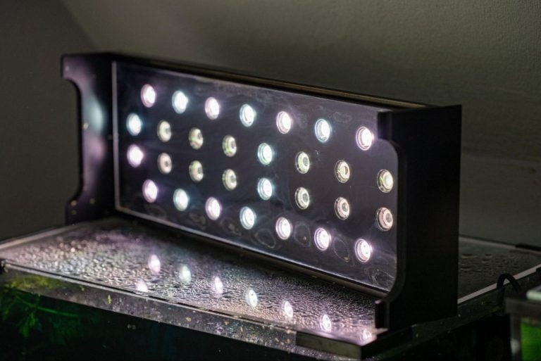 Renowacja starego akwarium i budowa lampy oświetleniowej